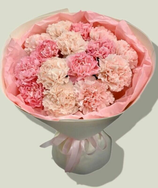 23 diantusa, 23 diantusa s oformleniem