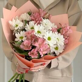 Buket «Romashki i Al_stromeriya»