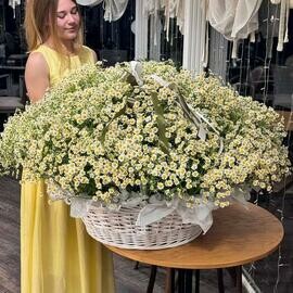 Корзина ромашек XL