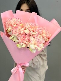 7 rozovih frantcuzskih roz