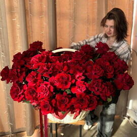Корзина из 65 роз Эквадор "Вау"