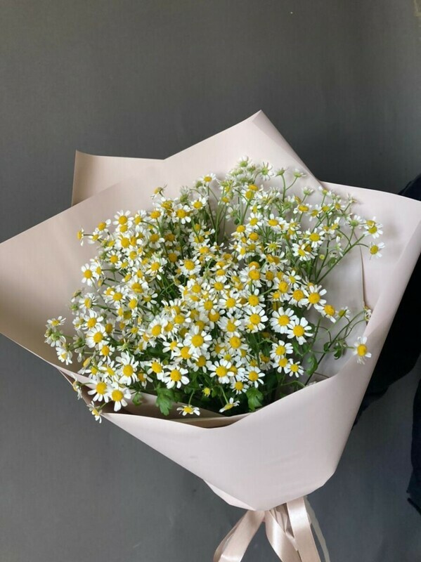 полевой букет ромашек, полевой букет из ромашек