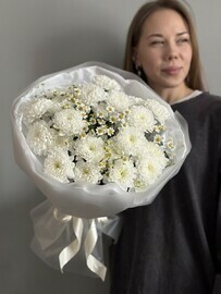 Kustovaya hrizantema i romashka