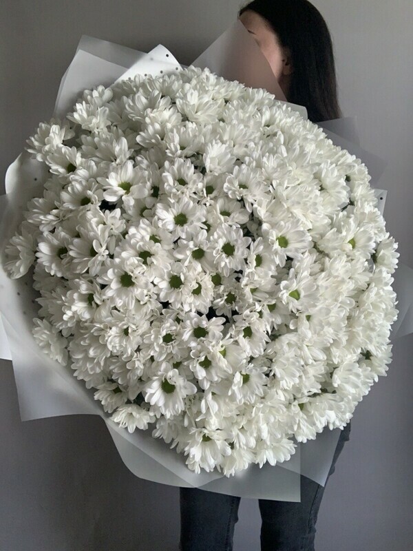 Большой букет из кустовой ромашковой хризантемы, премиум