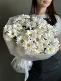 Букет кустовые хризантемы 7 шт