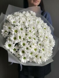 Букет кустовые хризантемы Премиум