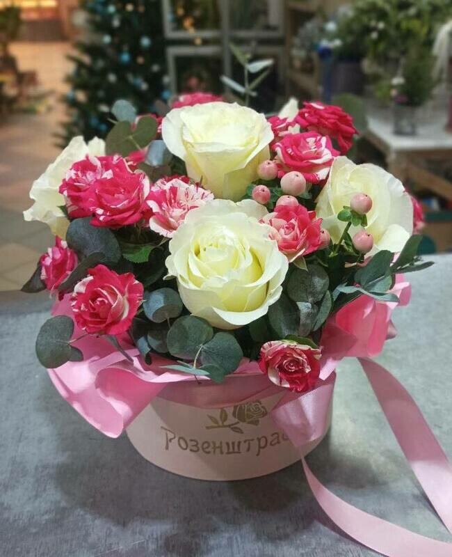 korobka Grand, standart