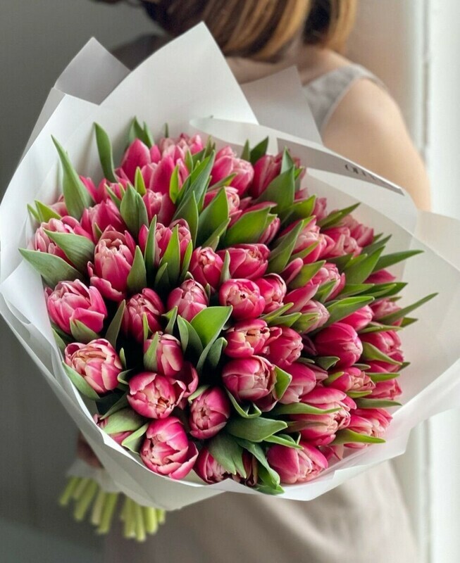 Pionovidnie tyul_pani, standart