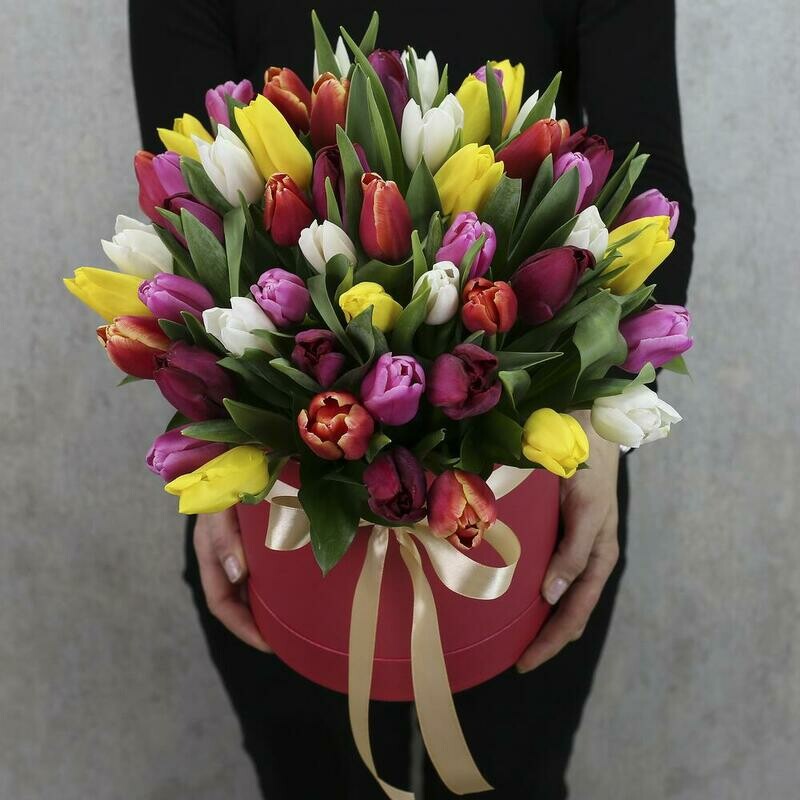 Korobka 51 tyul_pan, standart