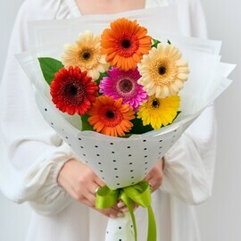 Buket iz 7 gerber