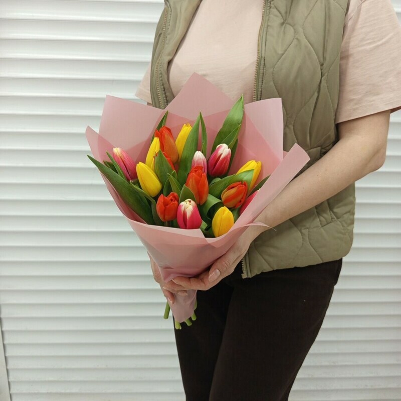 15тюльпанов, стандартный