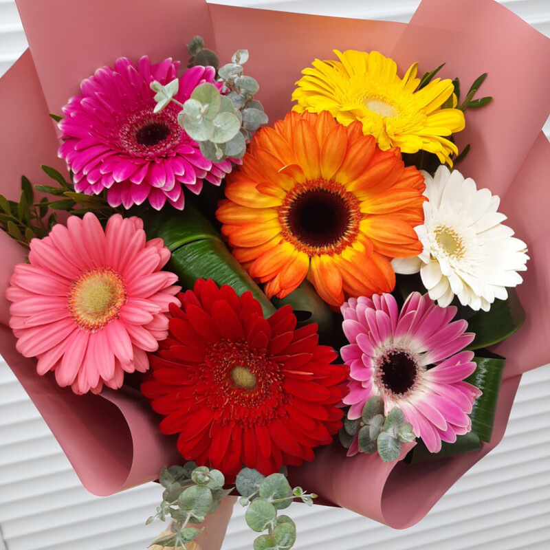 Bouquet of gerberas, standart