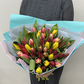 Букет 51 тюльпан