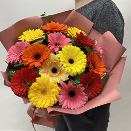Bouquet of 15 Gerberas