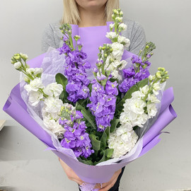 Букет из маттиолы