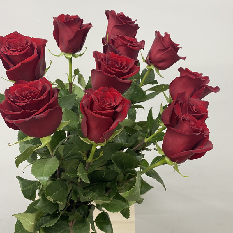 11 роз эквадор, стандартный