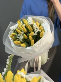 ZHeltie tyul_pani so stantciej v upakovke