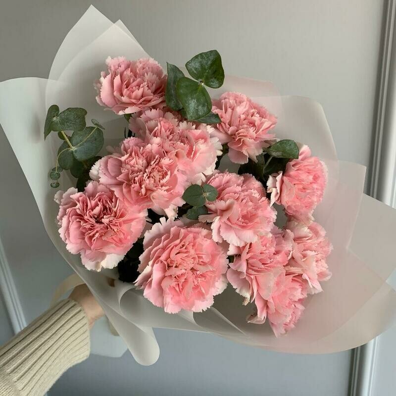 Диантусы с эвкалиптом монобукет, стандартный