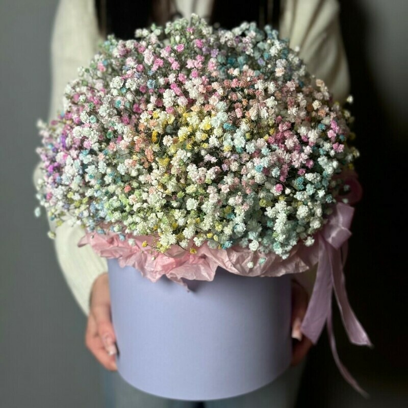 Гипсофила в коробке xl, коробка из цветной гипсофилы xl