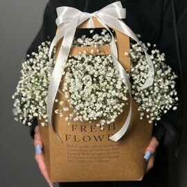 Гипсофила в сумочке