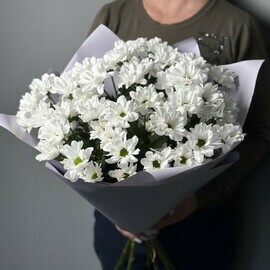 Buket iz 7 hrizantem