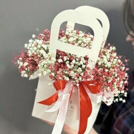 Sumochka s krasno-beloj gipsofiloj