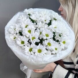 Monobuket iz 5 romashkovih kustovih hrizantem