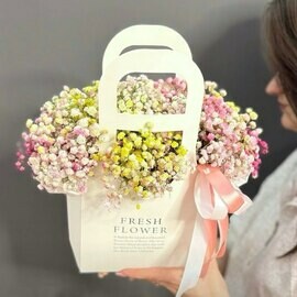 Sumochka s raduzhnoj gipsofiloj