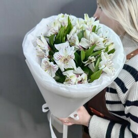 Monobuket iz 5 belih al_stromerij i ruskusa