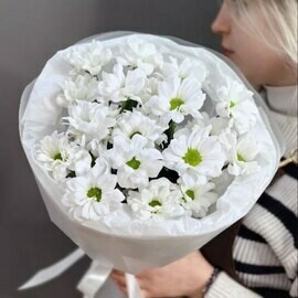 Monobuket iz 3 kustovih romashkovih hrizantem