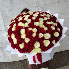 Buket-gigant iz 201 beloj i krasnoj rozi (Ekvador 60 sm) (art.2298)