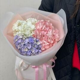 Buket iz 3 gortenzij v oformlenii