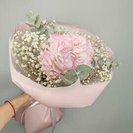 Гортензия с воздушной гипсофилой