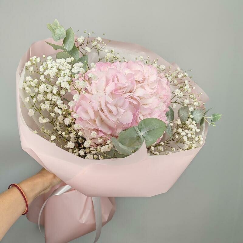 Гортензия с воздушной гипсофилой, стандартный