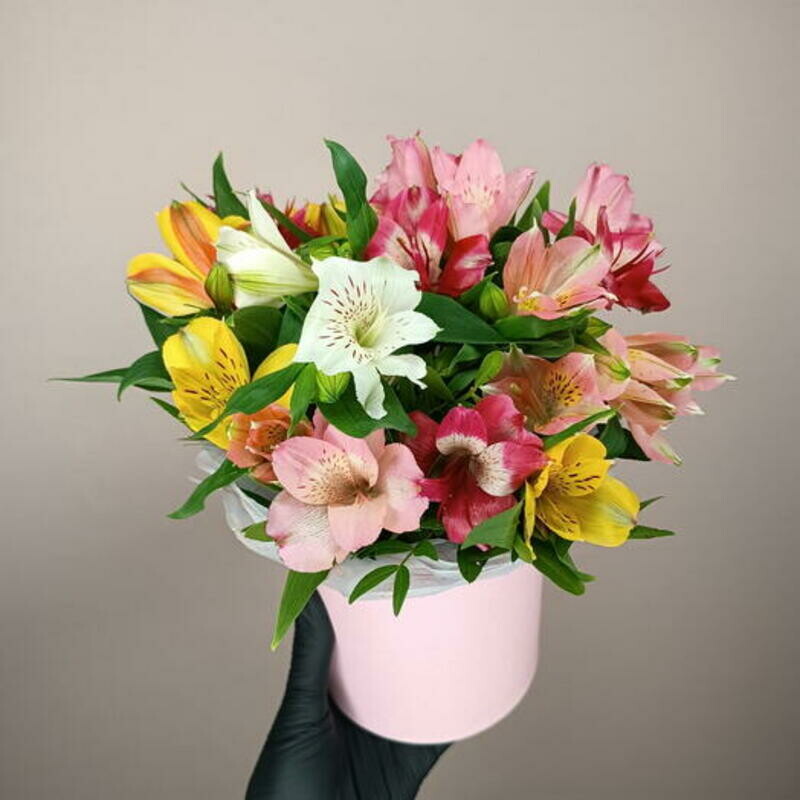 Коробочка со стойкими альстромериями, стандартный