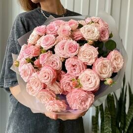 Vesennyaya skazka, kustovie pionovidnie rozovie rozi