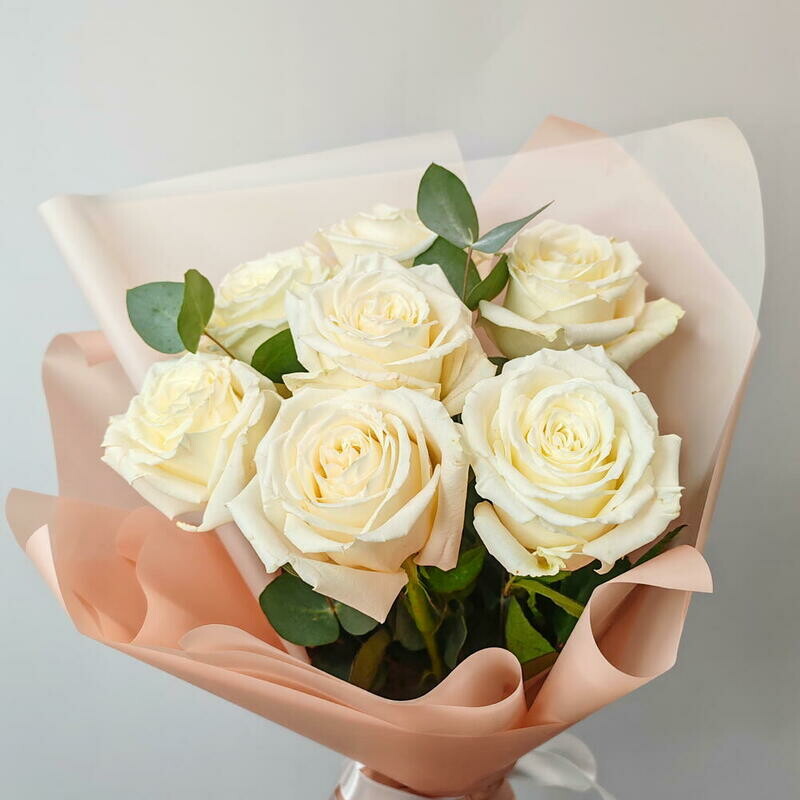 Pion.belie rozi Playa blanka 7, pion.belie rozi playa blanka 7