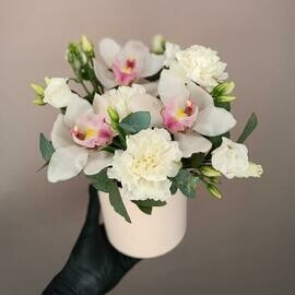 Орхидеи в коробке