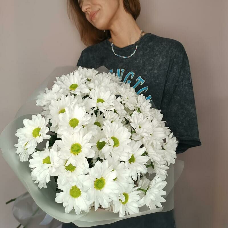 Belie romashki hrizantema kustovaya, belie romashki hrizantema kustovaya