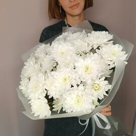 Белые хризантемы 7шт