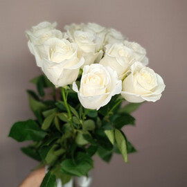 11 пионовидных белых роз