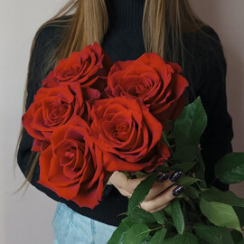 Красная роза 5 высокая с лентой