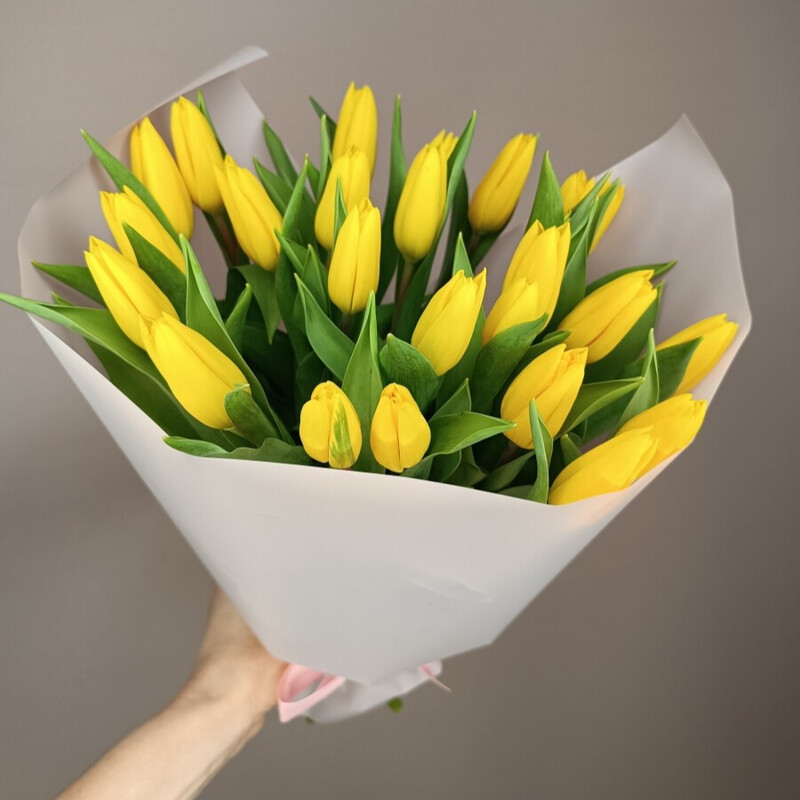 25 zheltih tyul_panov, 25 zheltih tyul_panov