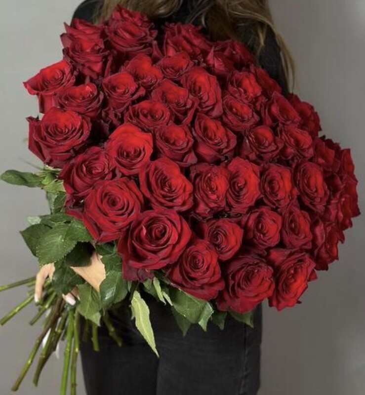 51 эквадорская Роза под ленту, моно букет из 51 красной розы