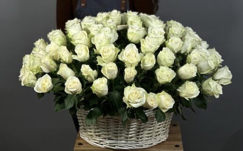 101 белая Роза премиум , премиум