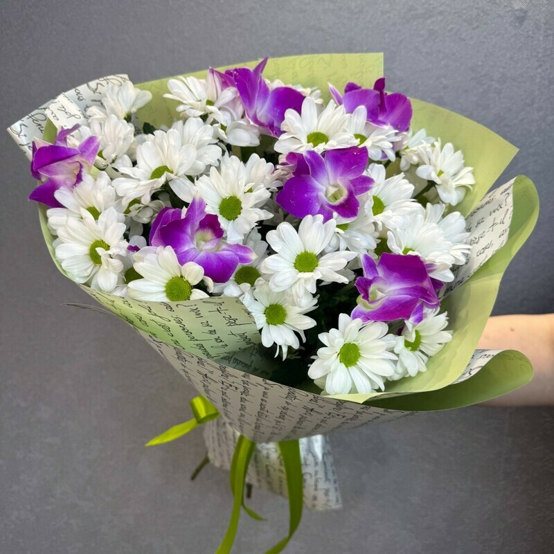 Zimnie sadi, reduced