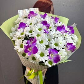 Зимние сады