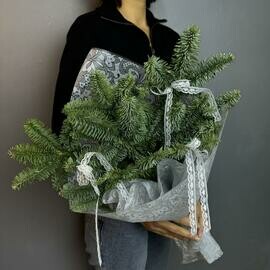 Моно из нобилиса