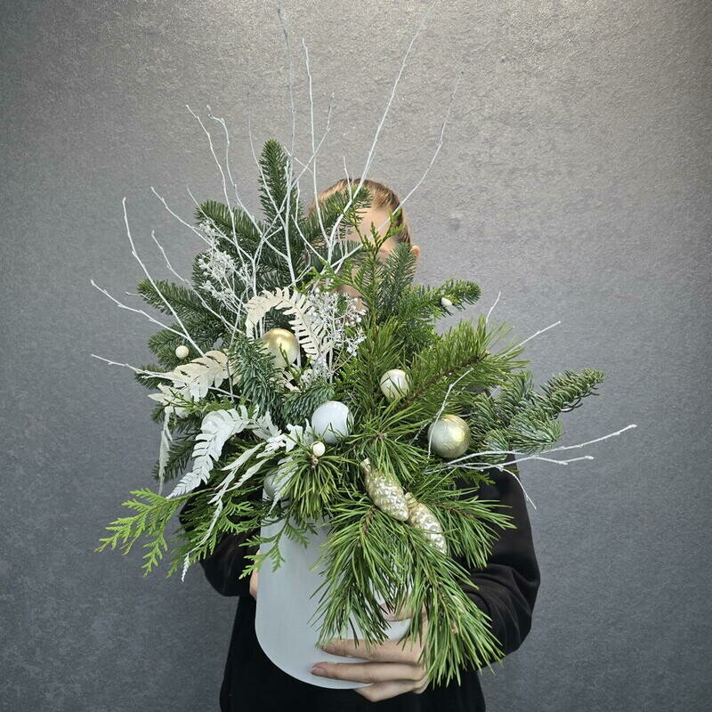 Snezhnoe utro, standart