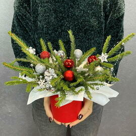 Novogodnij kompliment